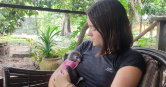 chloé pet sitter à SAINGHIN EN MELANTOIS 59262_1