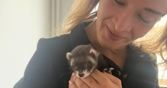amandine pet sitter à STRASBOURG 67000_5