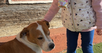 anna pet sitter à HEIMERSDORF 68560_5