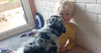 perrine pet sitter à BUIGNY ST MACLOU 80132_0