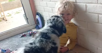 perrine pet sitter à BUIGNY ST MACLOU 80132