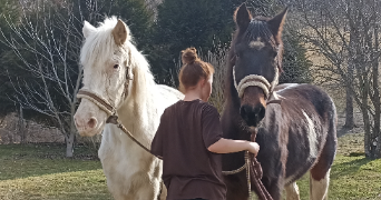 justine pet sitter à AMBERT 63600_7