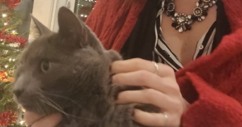 perrine pet sitter à MONTREUIL 93100_3