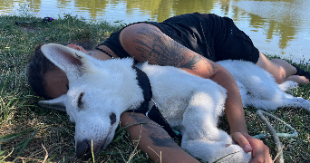 léa pet sitter à BRUSSIEU 69690_3