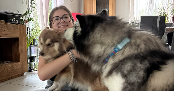 elsa pet sitter à OSTHEIM 68150_1
