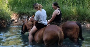anaïs pet sitter à ANNECY 74960_1