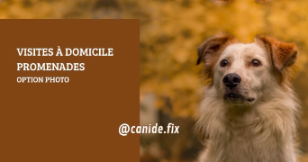 axelle pet sitter à NANCY 54000_12