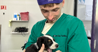 antoine pet sitter à CARQUEFOU 44470_1