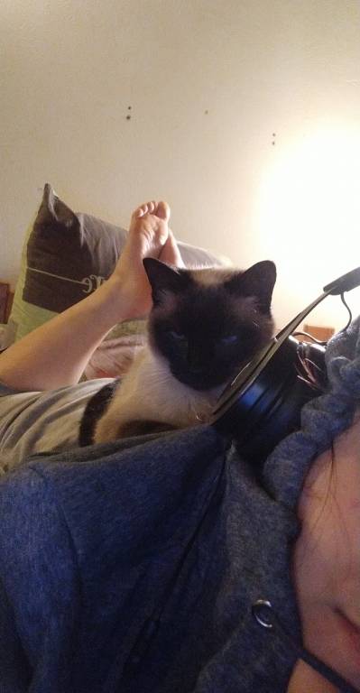 eléa pet sitter à Lyon 69003_1