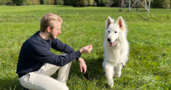 valentin pet sitter à LINGOLSHEIM 67380_1