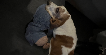 barbara pet sitter à LYON 01 69001_2