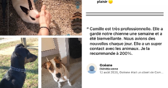 camille pet sitter à RIORGES 42153_4