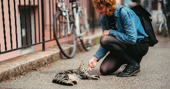 léonie pet sitter à STRASBOURG 67100_3