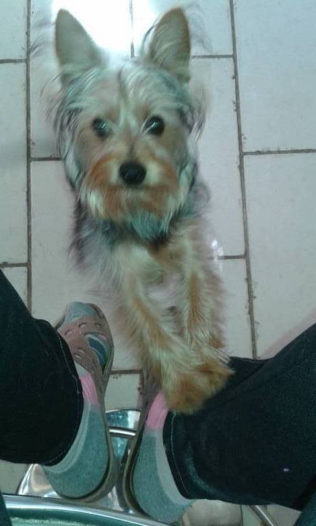 MARIE FRANCE pet sitter à Nîmes 30000_5