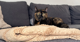 oceane pet sitter à Rocbaron 83136_2