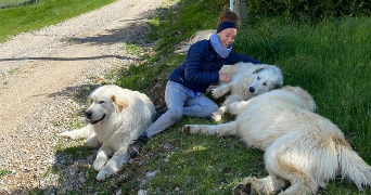 bruna dog sitter à TOULON 83000_0