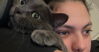 nesrine pet sitter à EYBENS 38320_1