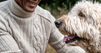 collins pet sitter à MONTPELLIER 34070_2
