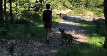 sophie pet sitter à MARSEILLE 11 13011