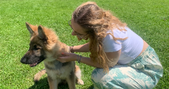 léa pet sitter à HEM 59510_1