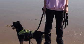 charline pet sitter à LES SABLES D OLONNE 85180_4