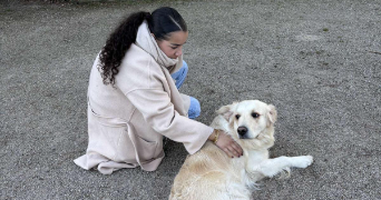 ines pet sitter à CLERMONT FERRAND 63000_0