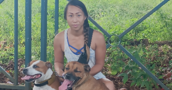 veronique pet sitter à L UNION 31240_3