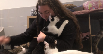 garance pet sitter à CAEN 14000_3