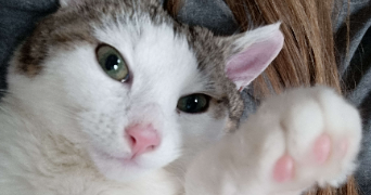 clémence pet sitter à LILLE 59000_2