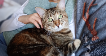 elodie pet sitter à VILLENAVE D ORNON 33140_2