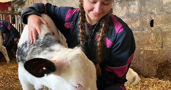 anna pet sitter à Chaumont 52000_3