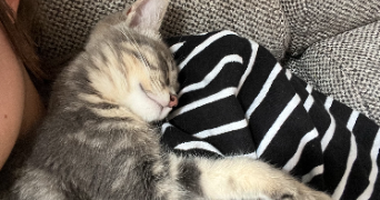 monia pet sitter à PARIS 15 75015_2