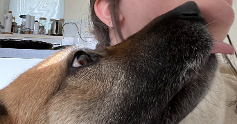 alice pet sitter à RENNES 35000_6