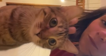 léonie pet sitter à CHATOU 78400_4