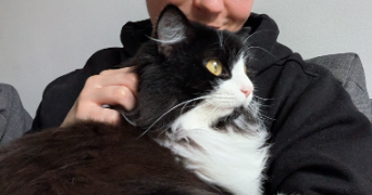 willy pet sitter à COLOMBES 92700_1