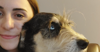 jade dog sitter à ST JEAN 31240_5