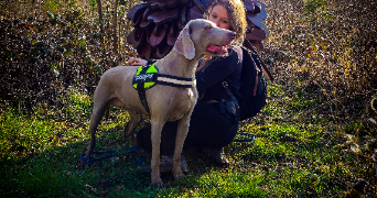 marie pet sitter à TUCQUEGNIEUX 54640_6