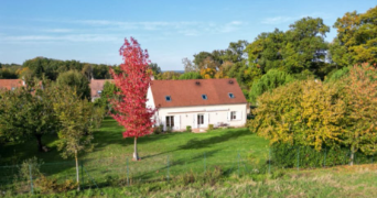 nikolaz pet sitter à ST CHERON 91530_3