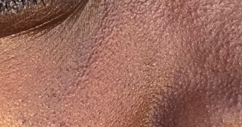 ackah pet sitter à MAISONS ALFORT 94700_0