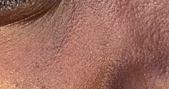 ackah pet sitter à MAISONS ALFORT 94700