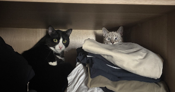 andréa pet sitter à LE CHEYLAS 38570_3