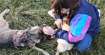 camille pet sitter à Montreuil 93100_4