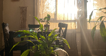 cindy dog sitter à HOUILLES 78800_3