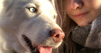 lilou pet sitter à Ostwald 67540_4