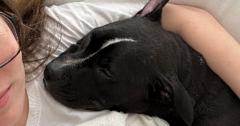 carla elisabeth dog sitter à PARIS 07 75007_3
