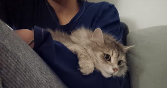 coralie pet sitter à CHATEAUNEUF SUR LOIRE 45110_3