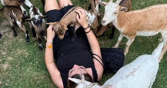 lilou pet sitter à PARIS 18 75018_2