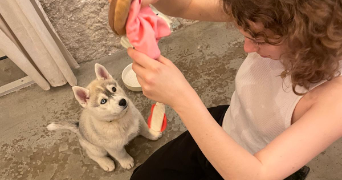 julia pet sitter à Marseille 13000_5