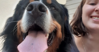 maëlle pet sitter à ST NAZAIRE 44600_2