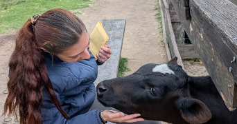 charrais pet sitter à ST JEAN DE VEDAS 34430_5